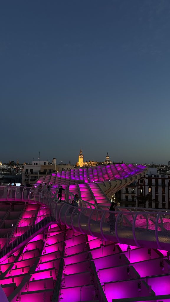 las setas de nuit seville